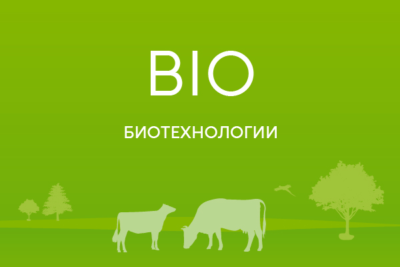 Консерванты