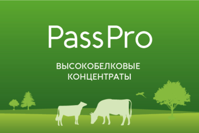 Высокобелковые концентраты PassPro