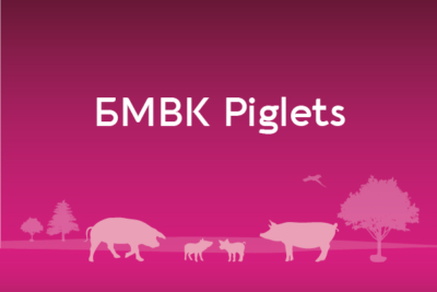 БМВК Piglets