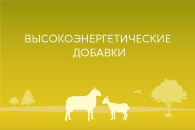 Высокоэнергетические добавки