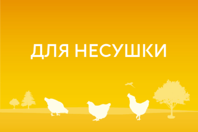 Для несушки