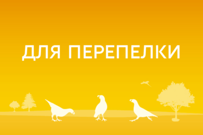 Для перепелки