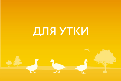 Для утки