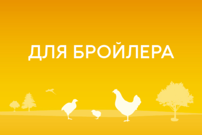 Для бройлера