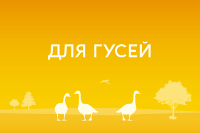 Для гусей