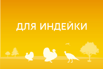 Для индейки