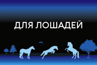 Кормовые смеси