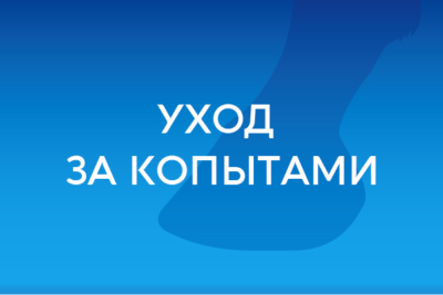 Уход за копытами