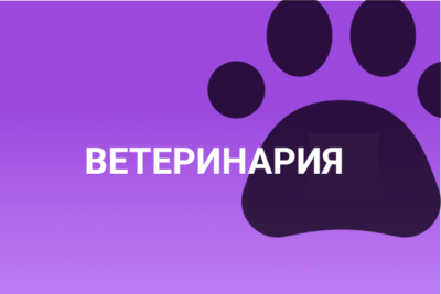 Ветеринария