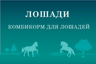 Для лошадей