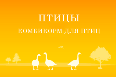 Комбикорм для сельскохозяйственных птиц