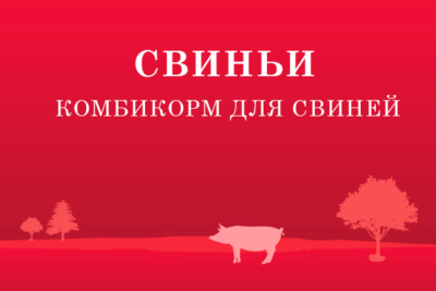 Комбикорм для свиней