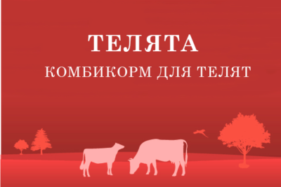 Комбикорм для телят