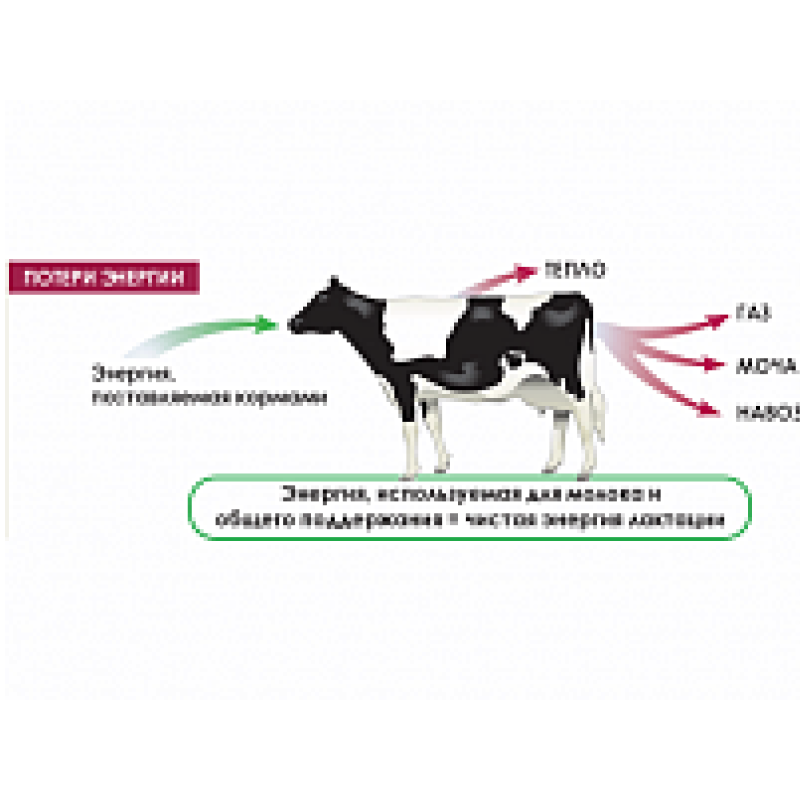 Кормовая добавка "Мегалак" — изображение 3
