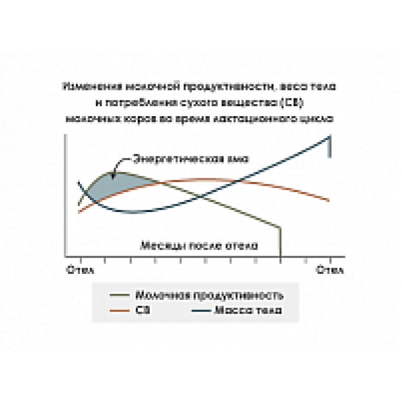 Кормовая добавка "Мегалак" — изображение 4