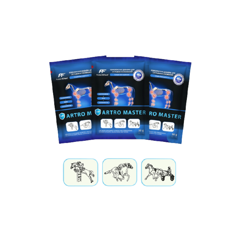 Artro Master. Хондропротектор — изображение 2