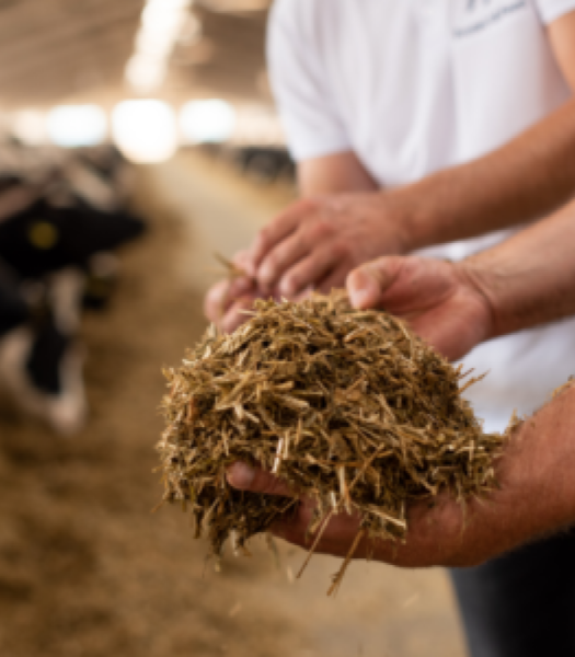 Аудит фермы